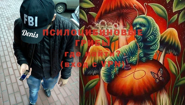 круглые Алзамай