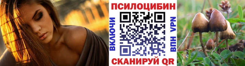darknet клад  Жуков  Галлюциногенные грибы мухоморы 